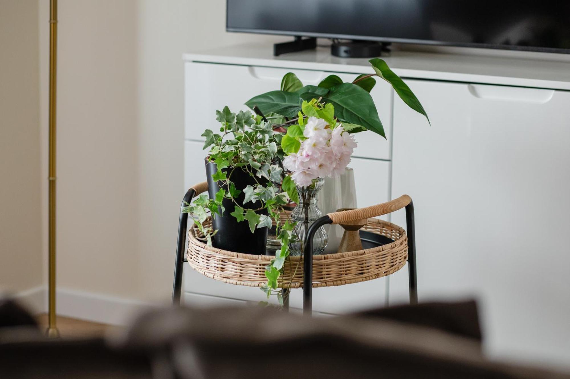 Ts Gold New Town Apartment & Free Private Parking Szczecin Kültér fotó
